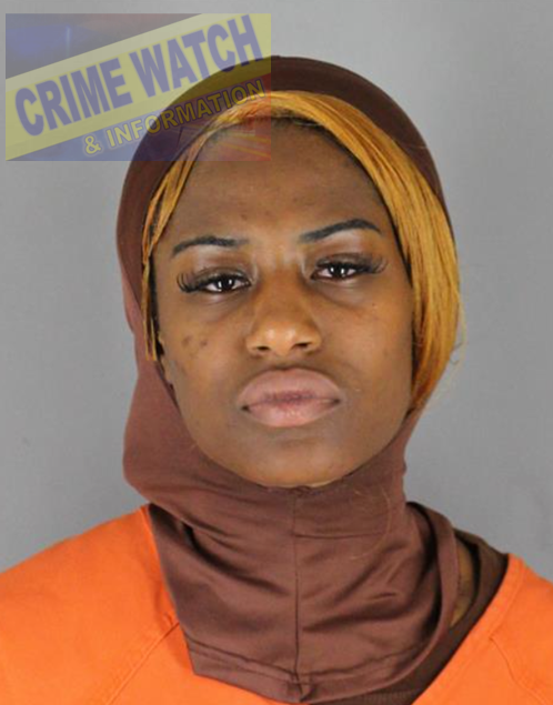 CrimeWatchMpls's tweet photo. Wheeeeeee!! Another spin through @MNCourts revolving door for Penelope Pinky Precious George. In custody on probable cause drugs and a felony warrant hold from another county. https://t.co/5Zx5IEBd1p