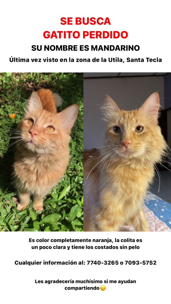 BanAnaComplains's tweet photo. por favor ayúdenme a compartir para encontrar a mi bebé💔 https://t.co/YmpENFX75X