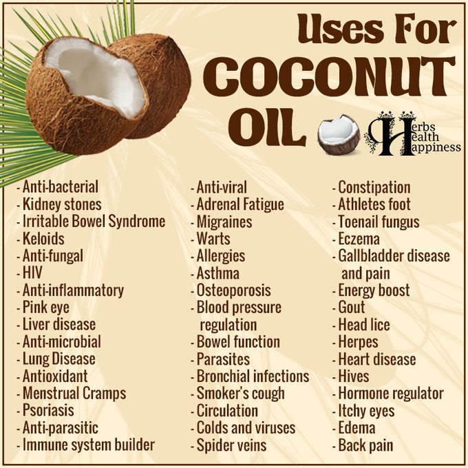 OrganicLiveFood's tweet photo. Coconut water was used in WW2 to heal wounded soldiers and it is known for its electrolytes and anti-inflammatory properties  🥥

https://t.co/as24kY7JmY https://t.co/xQGW2RCJ9S