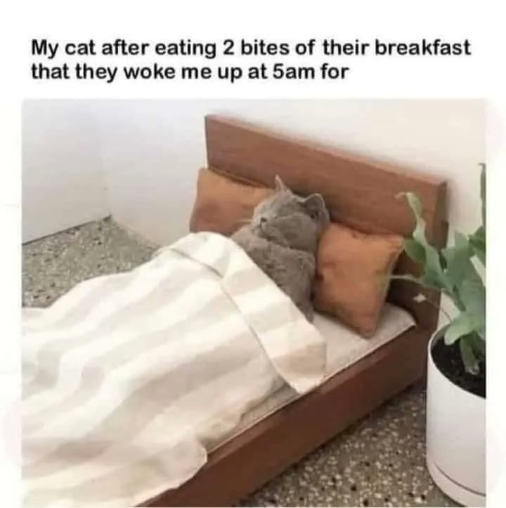 Satan (@s8n) on Twitter photo 