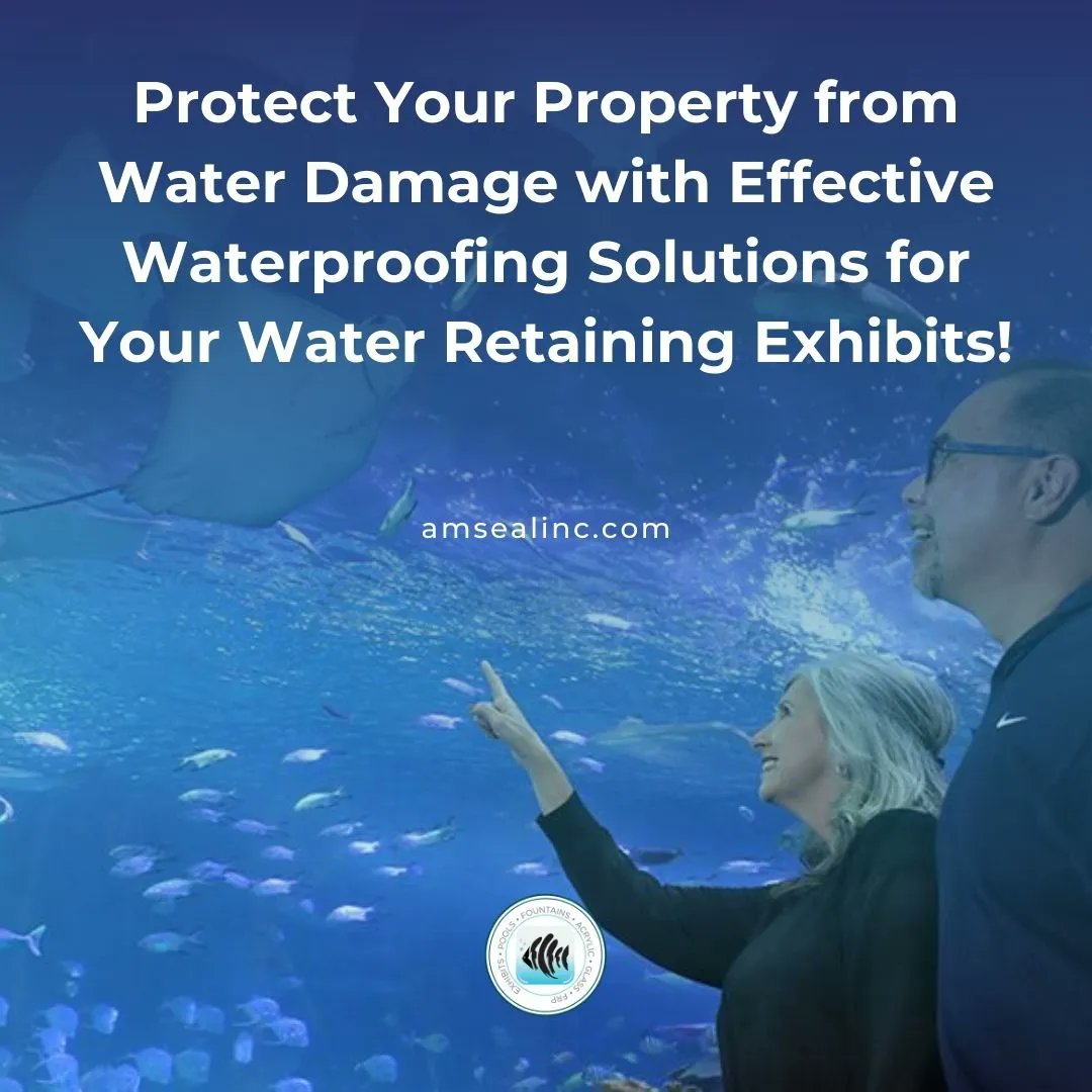 We use our expertise, knowledge, & innovation to effective waterproofing with unmatched quality.

Call today: 970.523.6001

#customexhibits #customaquariums #aquariumexhibits #customizeyourpool #customwaterfeatures #acrylicinstallation #glassinstallation #tankinstallation