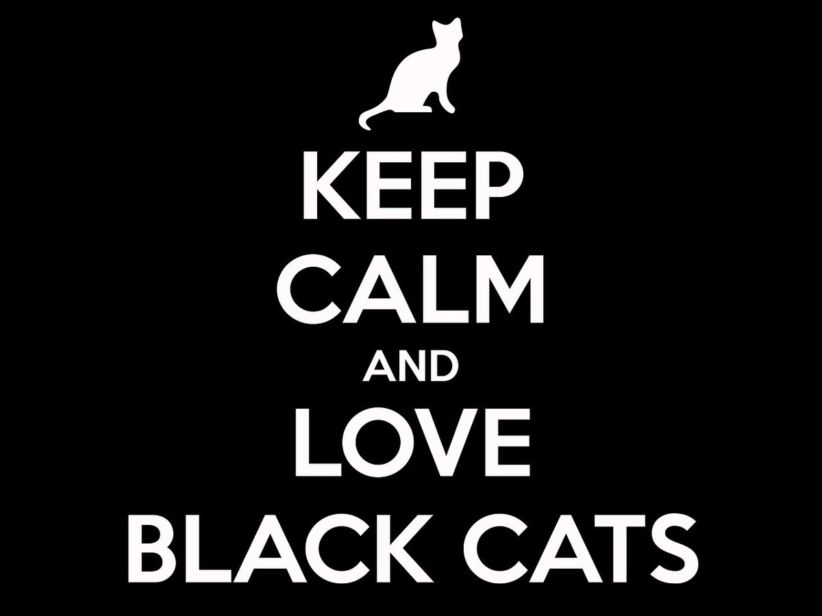 MeeCaseBusiness's tweet image. I'll have to start posting pictures of my own black cat, Onyx 🥰

#MeeCase #cat #catlover #blackcat
