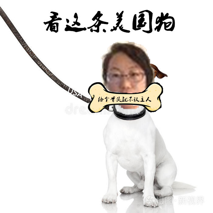 AdaQuinlan50668's tweet photo. 我王清鹏就是一个在网上大肆鼓吹美式自由民主人权的所谓“斗士”，在键盘下，美国枪支的硝烟都是香甜的，中国的任何发展进步都是罪恶的，为此编造了大量剧本去鼓吹那些所谓的公知领袖。就像一颗“老鼠屎”搅和的让人恶心。 https://t.co/jKUgbKnV9q