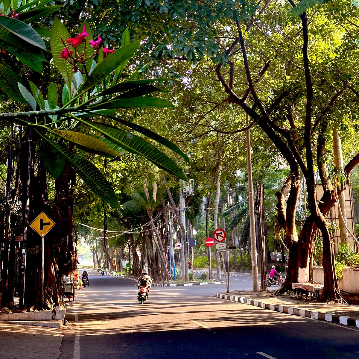 Ada dua kata yang saya nggak suka dengernya kalau digabung.

‘Tuh’ dan ‘kan’.

“Tuh kan?”

Atau versi lengkapnya,

“Tuh kan gua bilang juga apa???”

Tuh kan gua bilang juga apa, mana mungkin?

Tuh kan gua bilang juga apa, mana bisa?

Biasanya sambil dagu sedikit diangkat, kepala