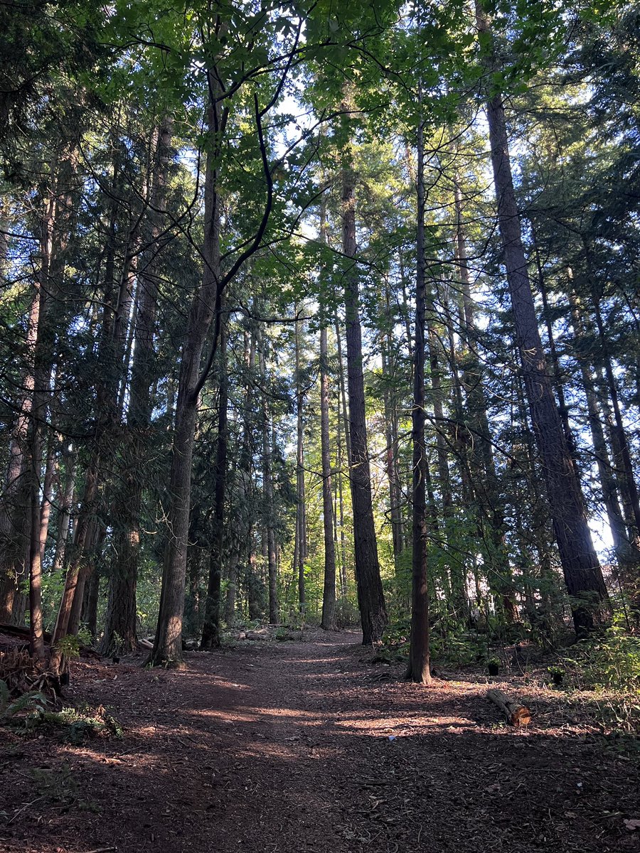 Thank you to all the volunteers who joined us in White Rock today for tree planting! This forested area was once covered with invasive species and today we completed the circle of restorative work. 300 trees with 80 volunteers! 
#TheReadyCommitment  #TDTreeDays