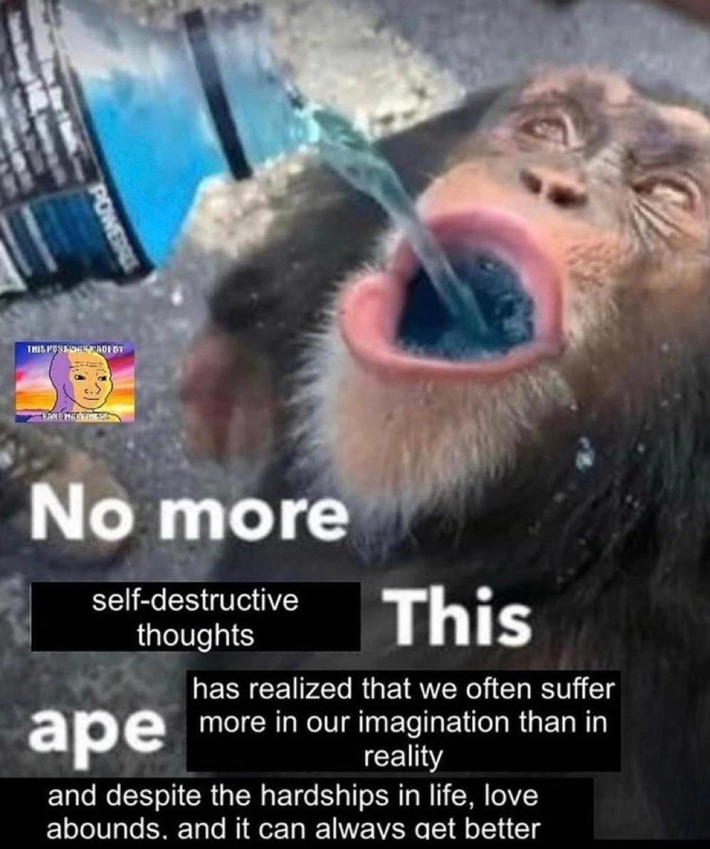 ShitpostGateway (@shitpostgate) on Twitter photo 