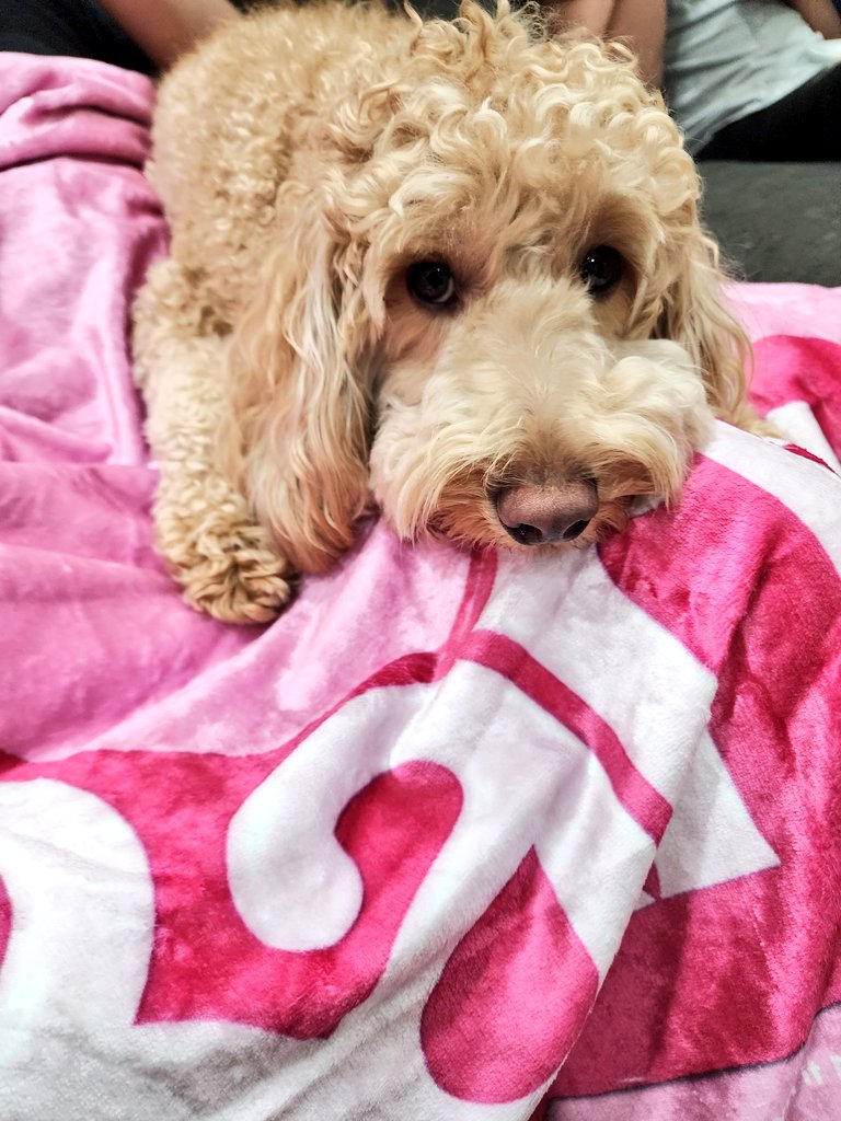 Someone else joined us...

#BarbieWatchParty <a href="/barbiethemovie/">Barbie Movie</a> <a href="/WBHomeEnt/">Warner Bros. Entertainment</a>