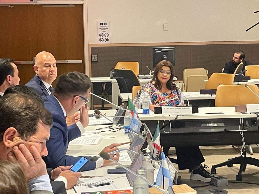 ClaraBrugadaM's tweet image. Es un honor para mí haber tenido la oportunidad de participar en el Fin de Semana de Acción para los Objetivos de Desarrollo Sostenible #SDGActionWeekend en la sede de @UN en #NuevaYork y presentar nuestro proyecto #UTOPÍAS, el cual refleja nuestro compromiso con la…