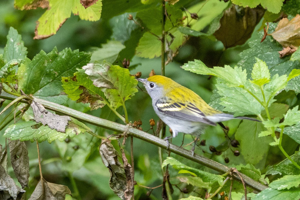 Anna Klafter tweet media