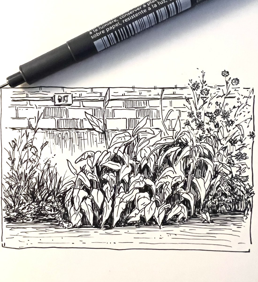 sketchbook drawing ✨