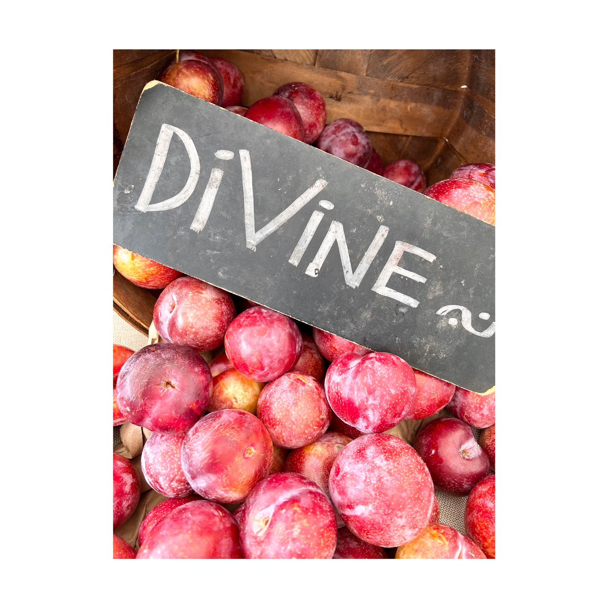 keeplefttravel's tweet photo. Farmers Market finds ~ https://t.co/VcO0VyIP4q