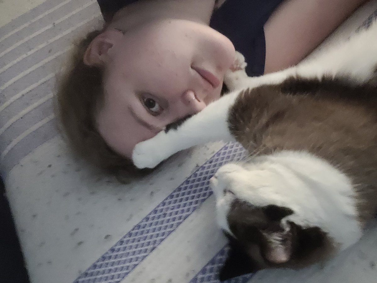 BeccaFlaa's tweet photo. When your cat smacks your forehead cause you buy to much art stuff. https://t.co/UV4bbQ2pEC