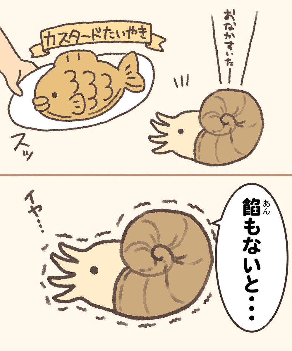 アンモナイトさん