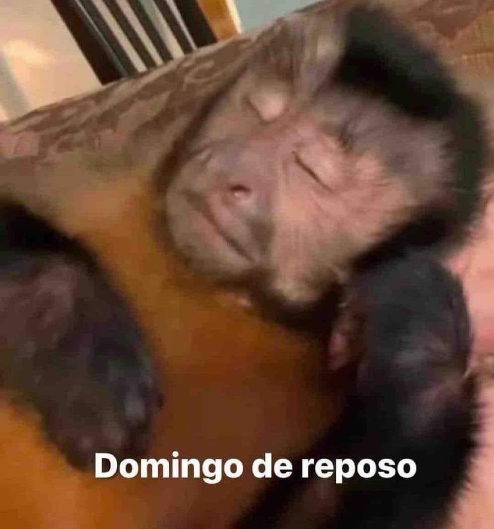 ElJeringasLoko's tweet photo. ei https://t.co/uo2S0MVEG3