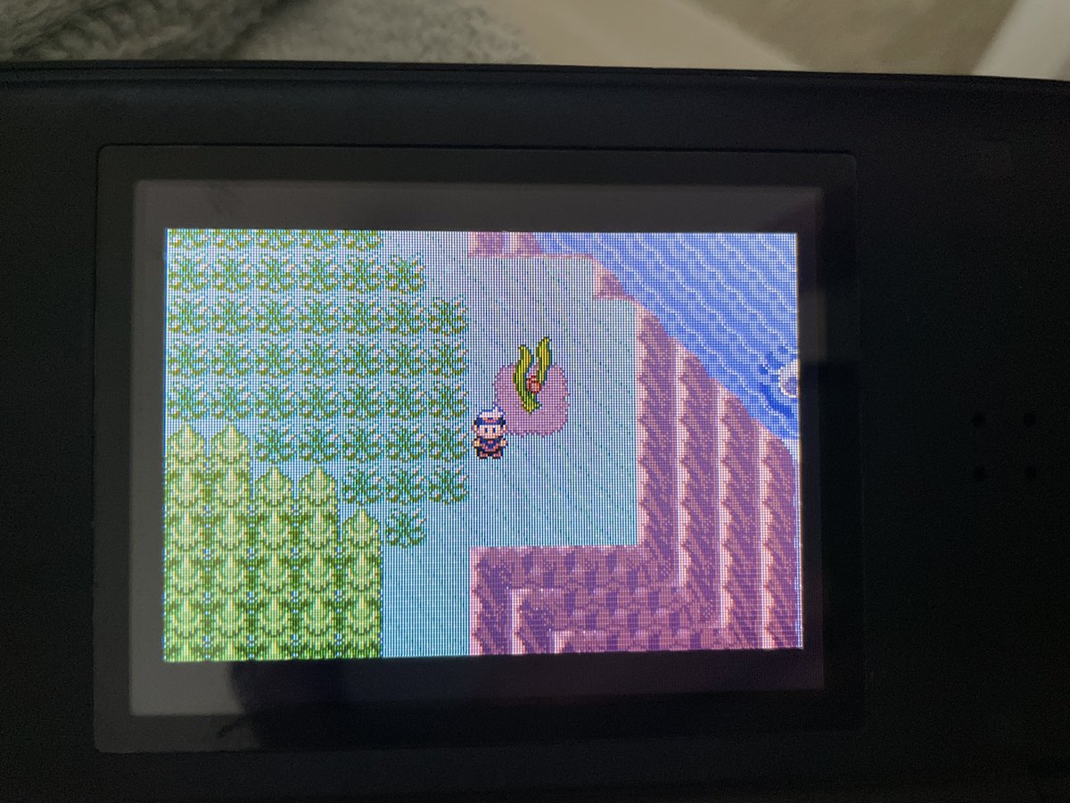 Alan Wells tweet media