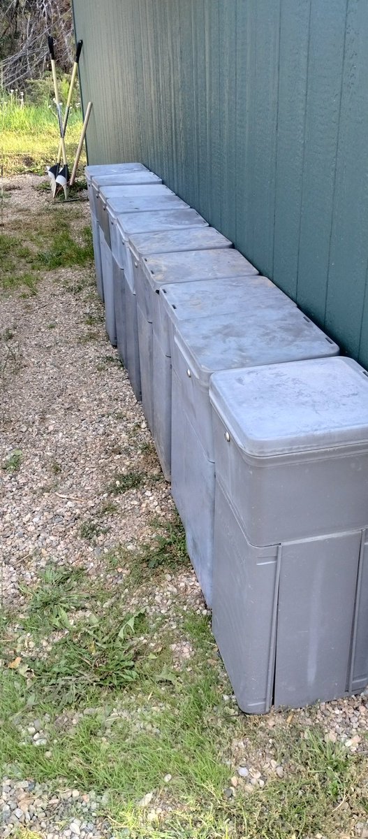 Pete Morris tweet media