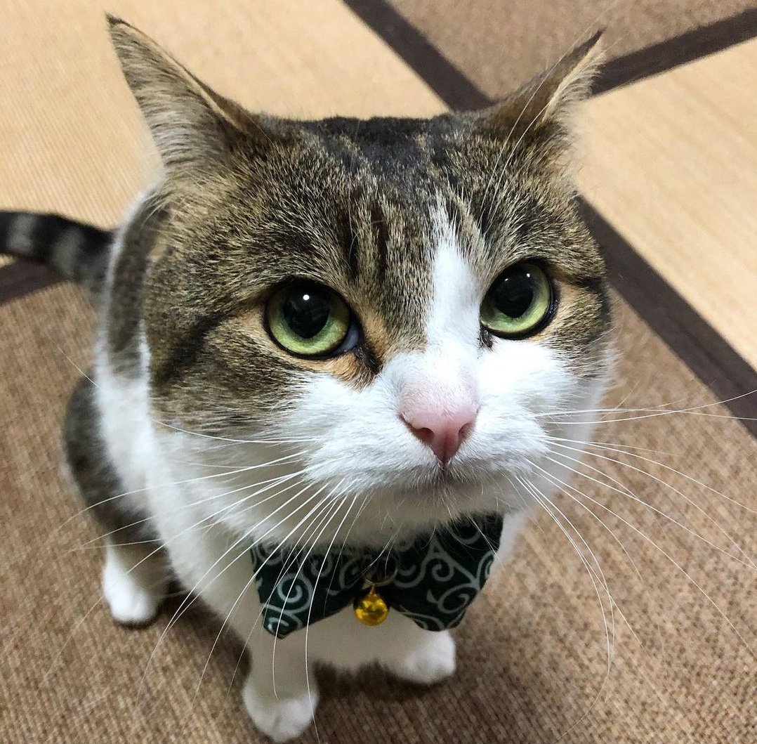 Nicky_htf's tweet image. 