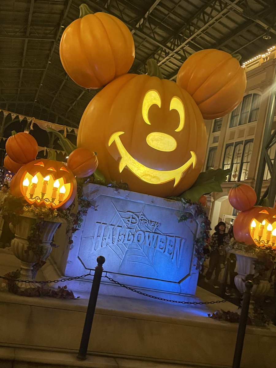 seinadisney's tweet photo. Dハロ❤️スニーク見れた😍😍
10/31までに行きまくりたい😭
早よ涼しくなって笑 https://t.co/jEtIRCWYcQ