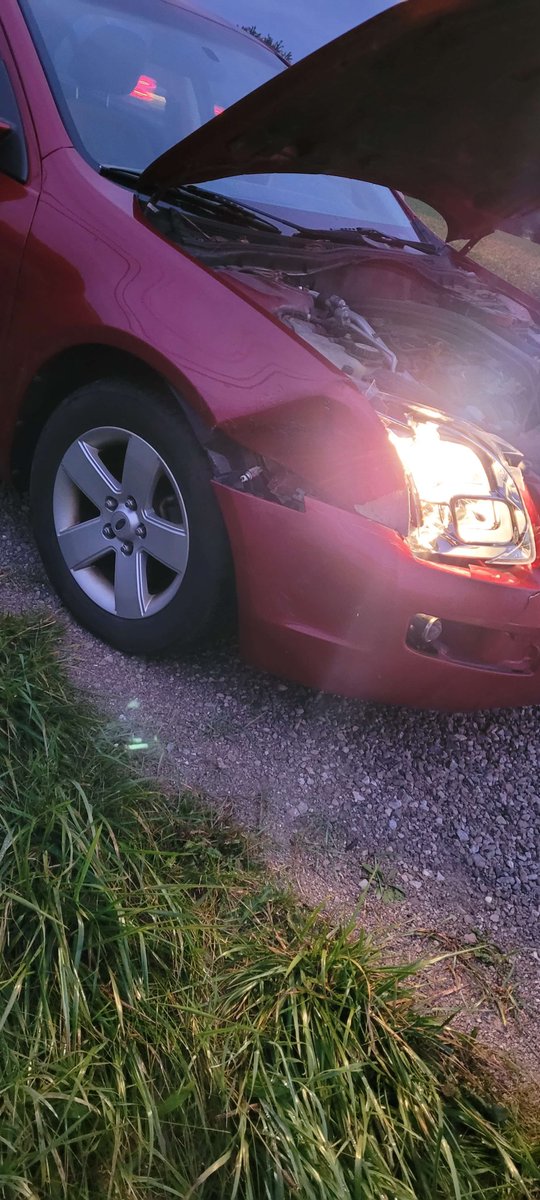 Xslice55555's tweet photo. Hitting a deer is not what I had on my list of things happening this year. (I'm ok) https://t.co/quxaHe7ivF