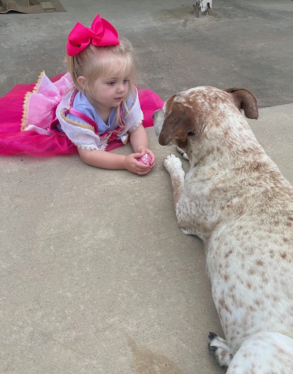 Coachsully7's tweet photo. Lost a member of the family tonight. Aries would’ve been 16 in December. She made the move with me from Horatio to Jacksonville to Vilonia and got me through some tough times in the process. Man, she was a good one. #RIPAries https://t.co/tiFYOLqOF3