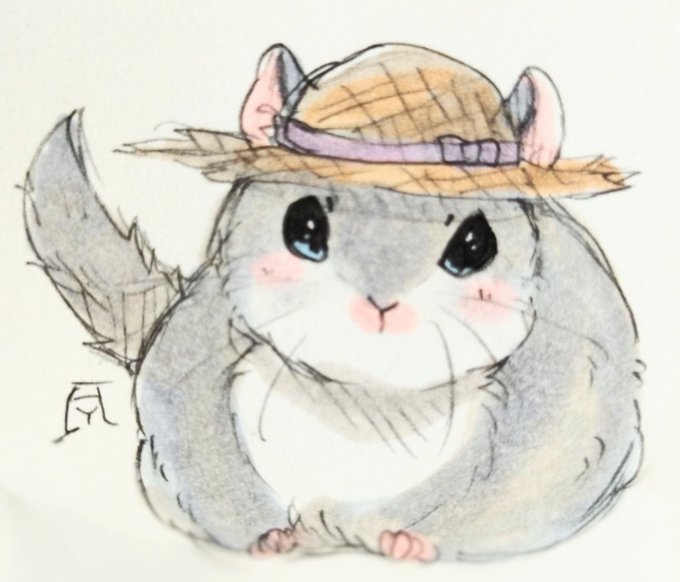 「blue eyes hamster」 illustration images(Latest)