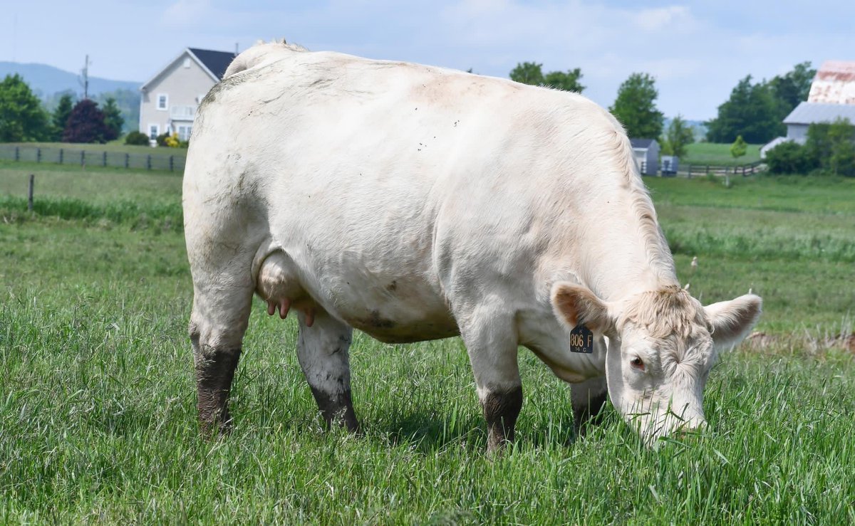 Robert Cooper tweet media