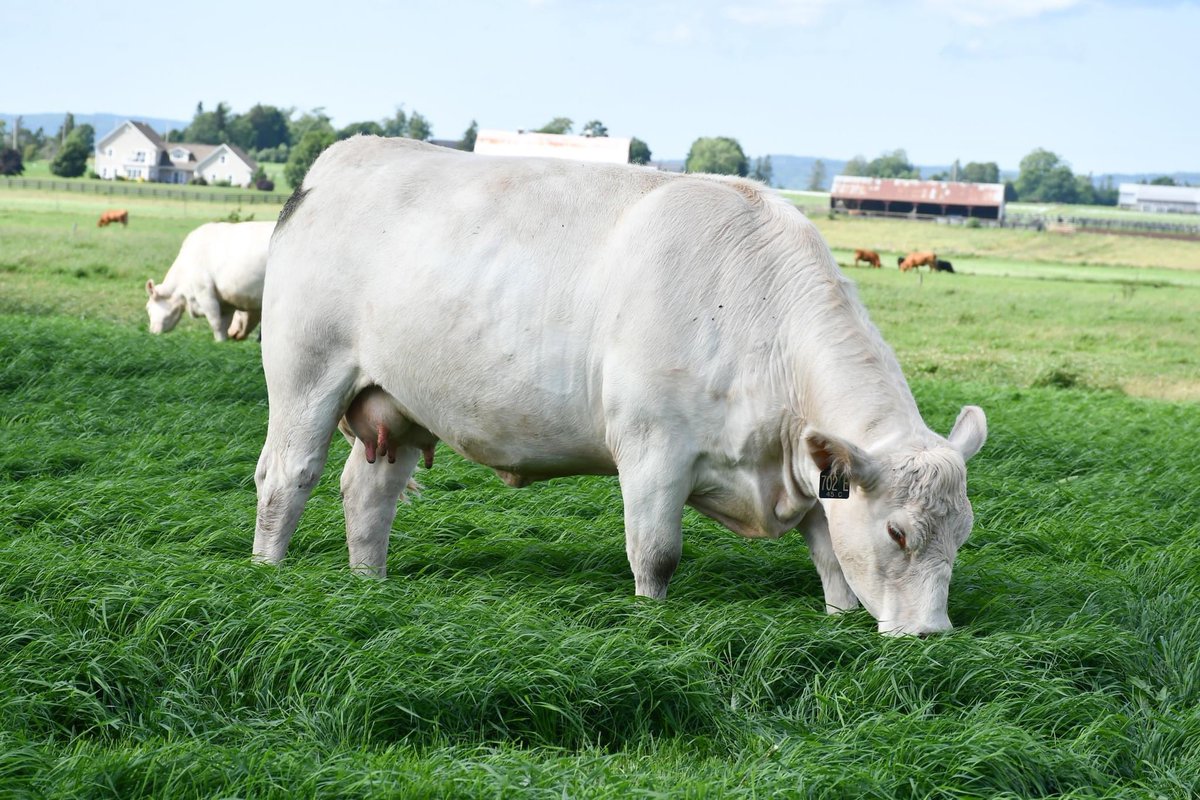 Robert Cooper tweet media