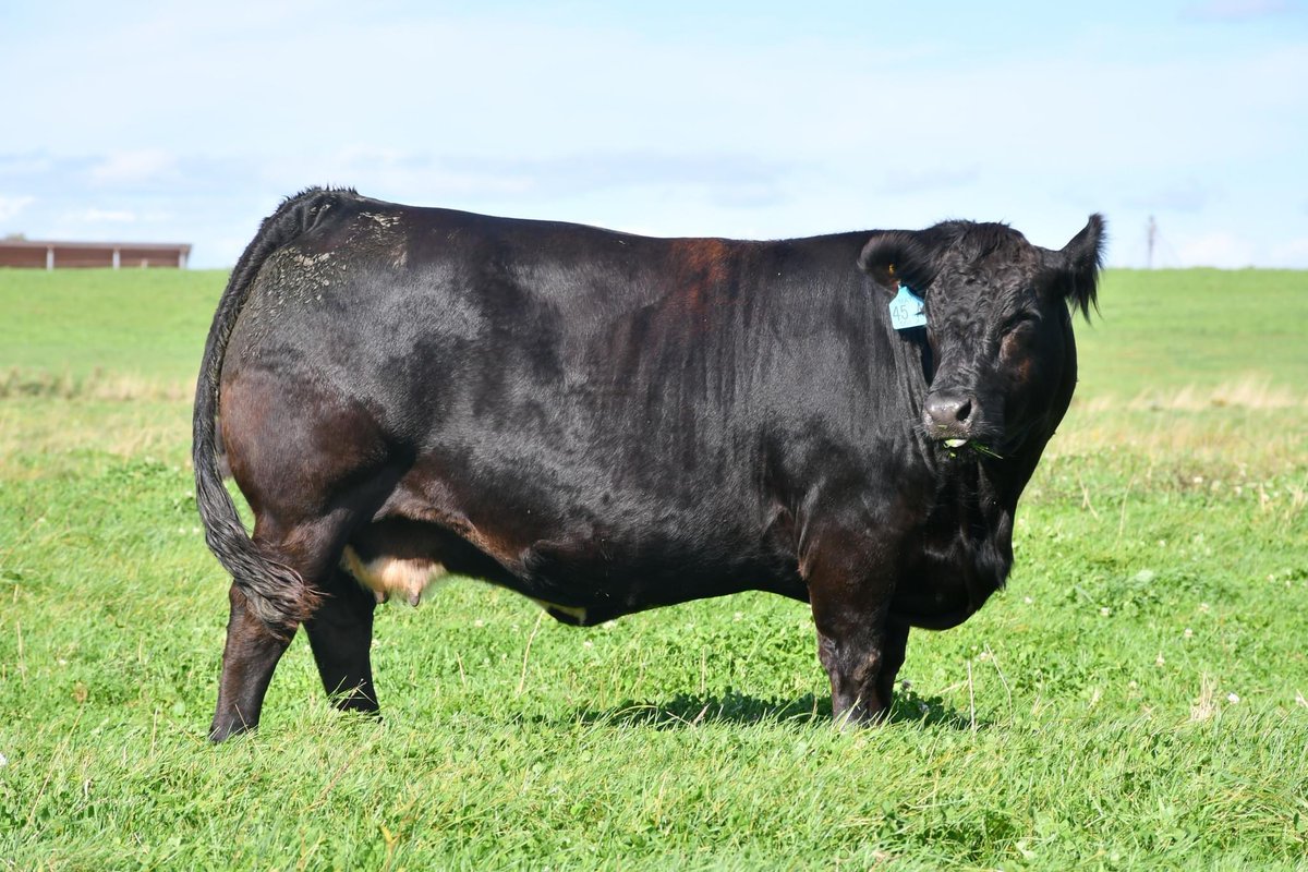 Robert Cooper tweet media