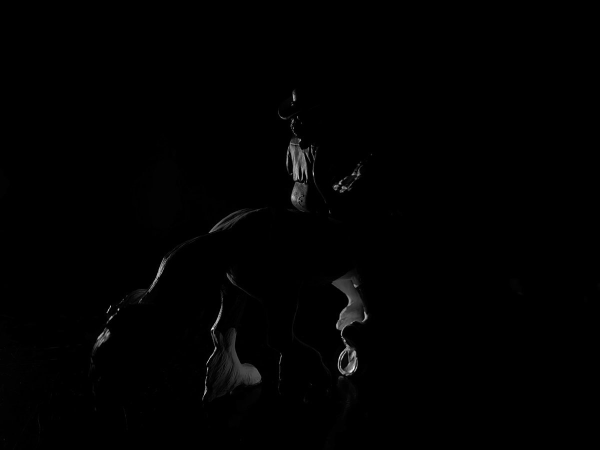 HH_Photos_'s tweet photo. #52frames_backlit
#week37 

“Keep going” https://t.co/3GLbUzN61q