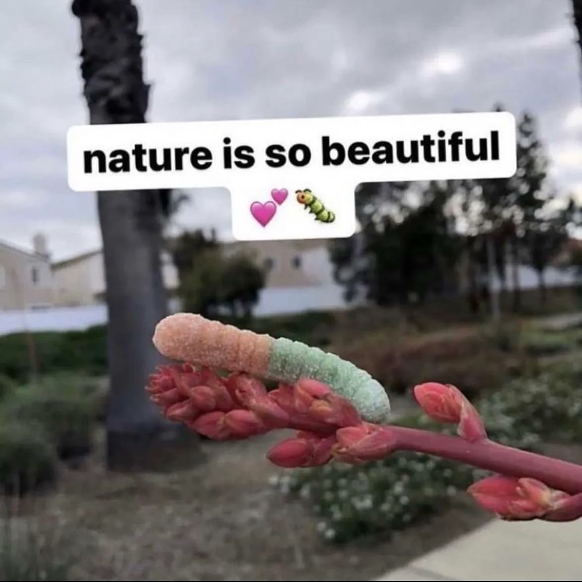 🕐HOURLY🕑 shitpost (@hourly_shitpost) on Twitter photo 