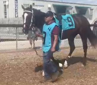 <a href="/gameofsilks/">Game of Silks</a> 🏇RACE OF THE DAY🔥

Race 5 <a href="/ChurchillDowns/">Churchill Downs</a>  
2 y.o Maiden Special Weight

🏆SILKS PURSE: $1,200.00💰

🥇 <a href="/SilksAlpha/">Alpha</a> - Shogun Be Fast (by Distorted Humor)
🥈<a href="/DragonHotDog17/">DragonHotDog</a> - Orange Diablo (by Union Rags)
🥉Not Yet Owned - Mint here: silks.io/racehorses/