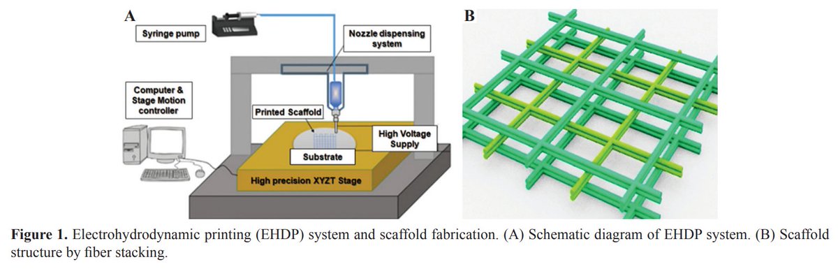 IJB_ASP's tweet photo. ๐งWe welcome you to read "Using #Plant #Proteins to Develop #Composite Scaffolds for #Cell #Culture Applications"
๐ฅBy Jie Sun et al.
๐Full text: https://t.co/cyTC2cUgBU
#biomaterialsink #Electrohydrodynamics #manufacturing https://t.co/GnByoCFRQm