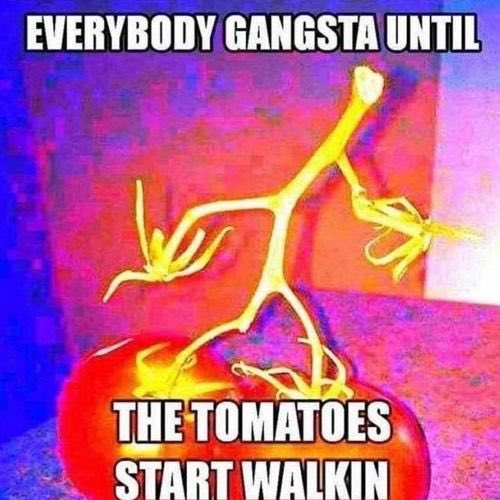 miranda (@theroyaiscam) on Twitter photo 