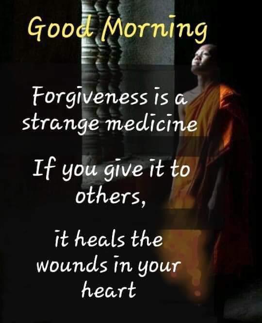 KamalPe69257601's tweet photo. #GoodMorningall . I wish you a pleasant day and a successful week ahead  #SLanka . https://t.co/yb5Q2f0IdI