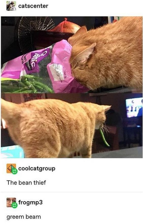 WholesomeMeme's tweet photo. https://t.co/etLT7c5r7C