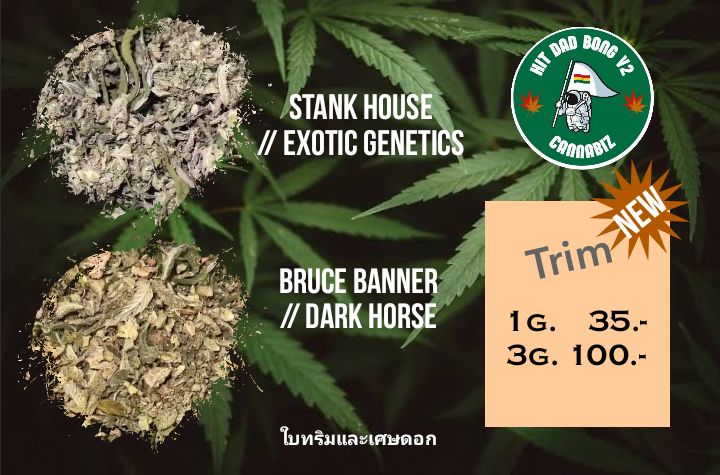 PatcharaSi25240's tweet photo. ☘️Trim Stank house// Exotic genetics 
THC : 25% Indica
☘️Trim BRUCE BANNER // Dark Horse 
THC : 23 - 29% Sativa

***สนใจสินค้าสั่งซื้อได้ที่***
    Line : https://t.co/ASsLu5BjTy

#กัญชา #กัญชากรุงเทพ #กัญชากทม #กัญชานอก #กัญชาดุสิต #กัญชาสามเสน #กัญชาออแกนิค #Hitdadbong #hdbvtwo https://t.co/APrhRzZK6s