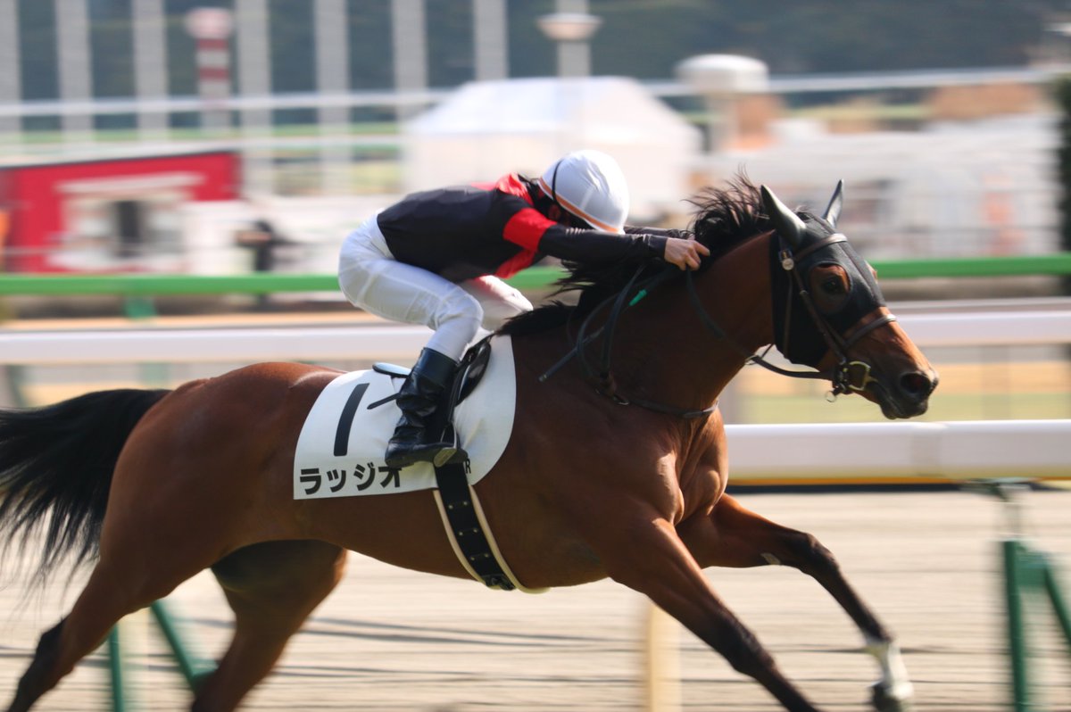 furabecamera's tweet photo. #競馬 の写真を撮っています
競馬以外もたまにあります

よろしくお願いします

#カメラマンさんと繋がりたい https://t.co/8NHV9NvX89