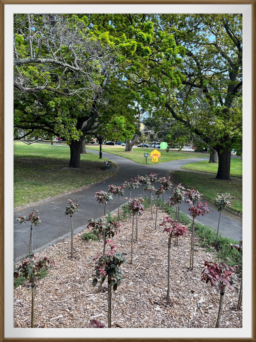 Have a good evening🐣
🐣is looking at ”Ｘ” 😅w

#nature #photograghy