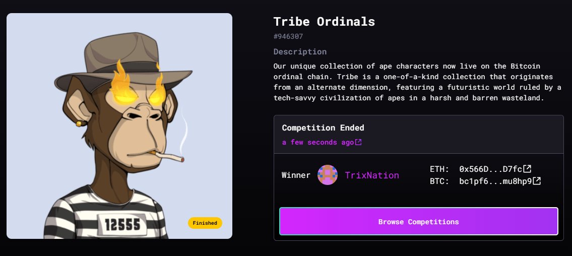 tribeodyssey's tweet photo. Congrats to @TrixNation on winning Tribe Ordinals #946307🎟️📷

We'll be adding more raffles so get involved!

Check out all on going raffles here:  https://t.co/OmDQ7nfQgV https://t.co/IwXIdtLdOW
