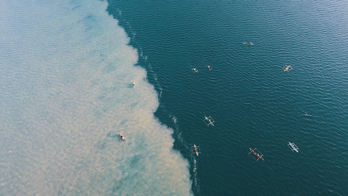 Cool job alert for African scientists! Have a PhD, speak #Kiswahili, interesting in working with local stakeholders and using data-driven #fisheries management? Post-doc or scientist sought for <a href="/WorldFishCenter/">WorldFish</a> project in ZANZIBAR 🌴🇹🇿 tinyurl.com/37f6wd93