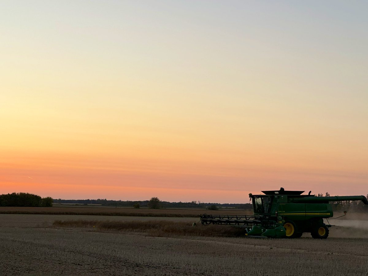 haroldbrownagro's tweet photo. Beautiful evening to harvest another #InVigorDST at Stonewall MB. Great yields for such little rainfall this season. Thanks Trevor and team at Meridian Acres for all the help this season! Watch for results showing up on https://t.co/uGWokcExEj soon. https://t.co/UBbsQX3bNT
