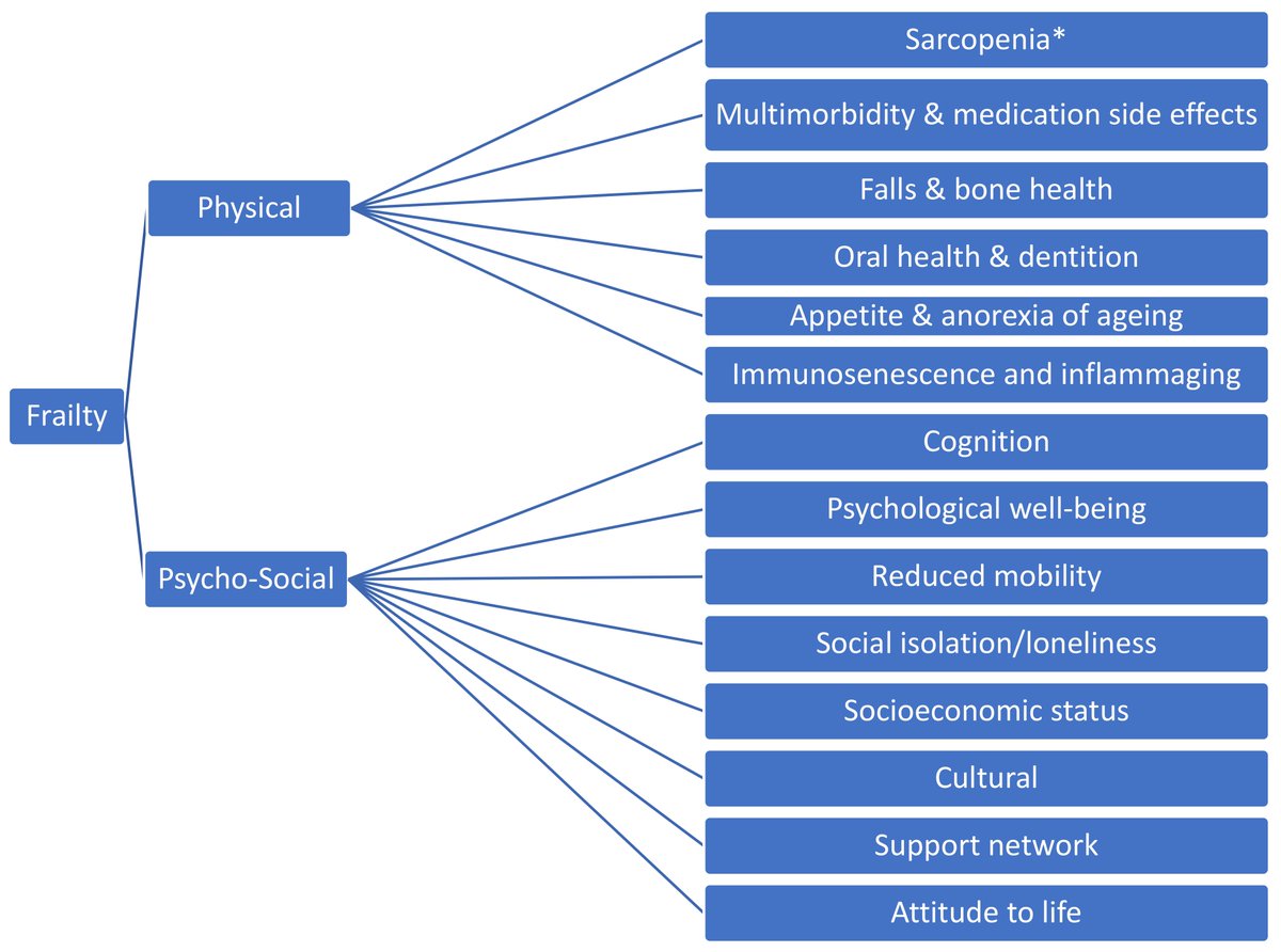 Nutrients MDPI (@nutrients_mdpi) on Twitter photo Editor’s Choice Article🔍
🛎️"Nutrition and Frailty: Opportunities for Prevention and Treatment" by Dr. Mary Ni Lochlainn et al.<a href="/KostasProko/">Konstantinos Prokopidis</a> @MasoudIsanejad <a href="/WHOCenterFrailt/">WHO Collaborating Center for Frailty</a> <a href="/CentreOMSfragil/">OMS Centre Collaborateur pour la Fragilité</a> <a href="/asanakpan/">Asan Akpan</a> <a href="/voucherpro/">Voucherpro.co.uk</a> <a href="/drjohnmorley/">john morley</a> <a href="/DrRajivsankar/">Dr.Rajiv Sankaranarayanan</a> <a href="/AmmasNuskhe/">Ammas Nuskhe</a>
👉mdpi.com/2072-6643/13/7… Editor’s Choice Article🔍
🛎️"Nutrition and Frailty: Opportunities for Prevention and Treatment" by Dr. Mary Ni Lochlainn et al.<a href="/KostasProko/">Konstantinos Prokopidis</a> @MasoudIsanejad <a href="/WHOCenterFrailt/">WHO Collaborating Center for Frailty</a> <a href="/CentreOMSfragil/">OMS Centre Collaborateur pour la Fragilité</a> <a href="/asanakpan/">Asan Akpan</a> <a href="/voucherpro/">Voucherpro.co.uk</a> <a href="/drjohnmorley/">john morley</a> <a href="/DrRajivsankar/">Dr.Rajiv Sankaranarayanan</a> <a href="/AmmasNuskhe/">Ammas Nuskhe</a>
👉mdpi.com/2072-6643/13/7…