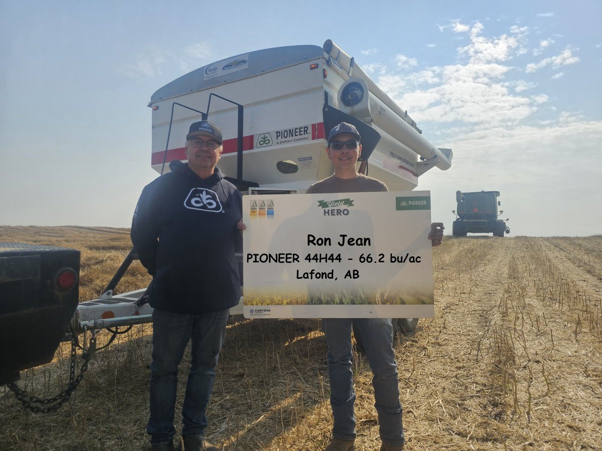 Very short on rain untill early July, the yield sink built into #44H44 shows when it gets late rain it grows lots of pods! Thank to Ron Jean for having us out! #YieldHero23 <a href="/PioneerSeedsCA/">Pioneer Seeds Canada</a>