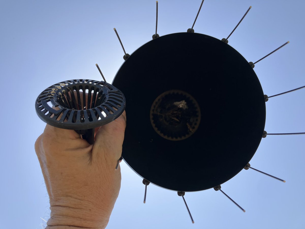 60 (@wildeyeaus) on Twitter photo 