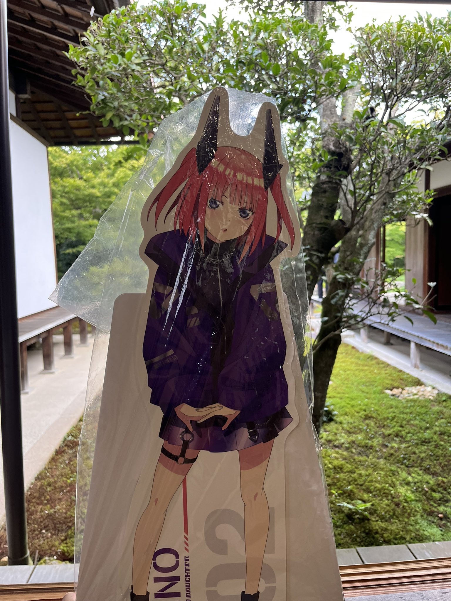 唯一無二の写真 - Hledat / X