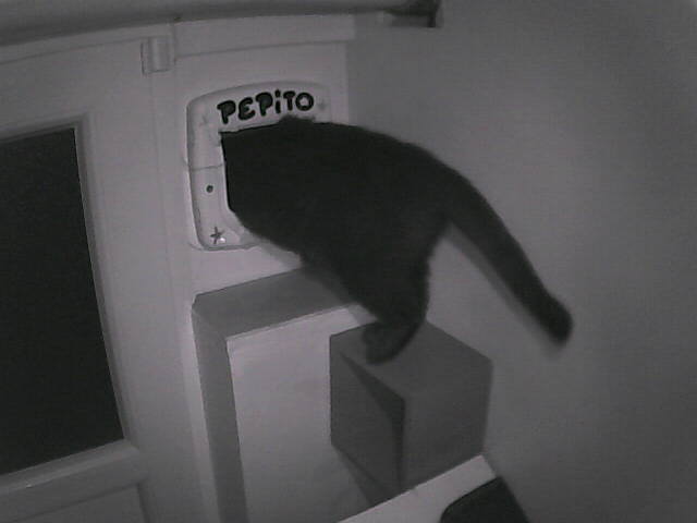 Pépito is out (05:08:39)