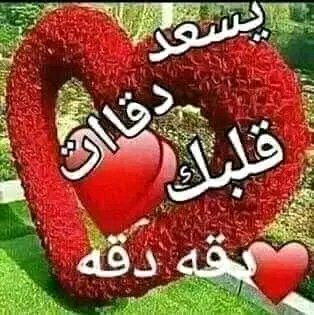 mfy50's tweet photo. @_AlHilal_66 @fg2g3 @Aa_ban1 @macketh74 @Nathyan1997 @Bi_Bismillaah__ @ElghazalyAbdl2 @Soraya123455 @ShadowF4F @jogjapokeid @JULIOBETA @Mone_fb @1W00i @Aly9a @m9llit @l5l1l5l @_sinfi @mrl_sr @emy5677 @Richardosuba @YAbwhwr86970 https://t.co/p6xNbGduyx