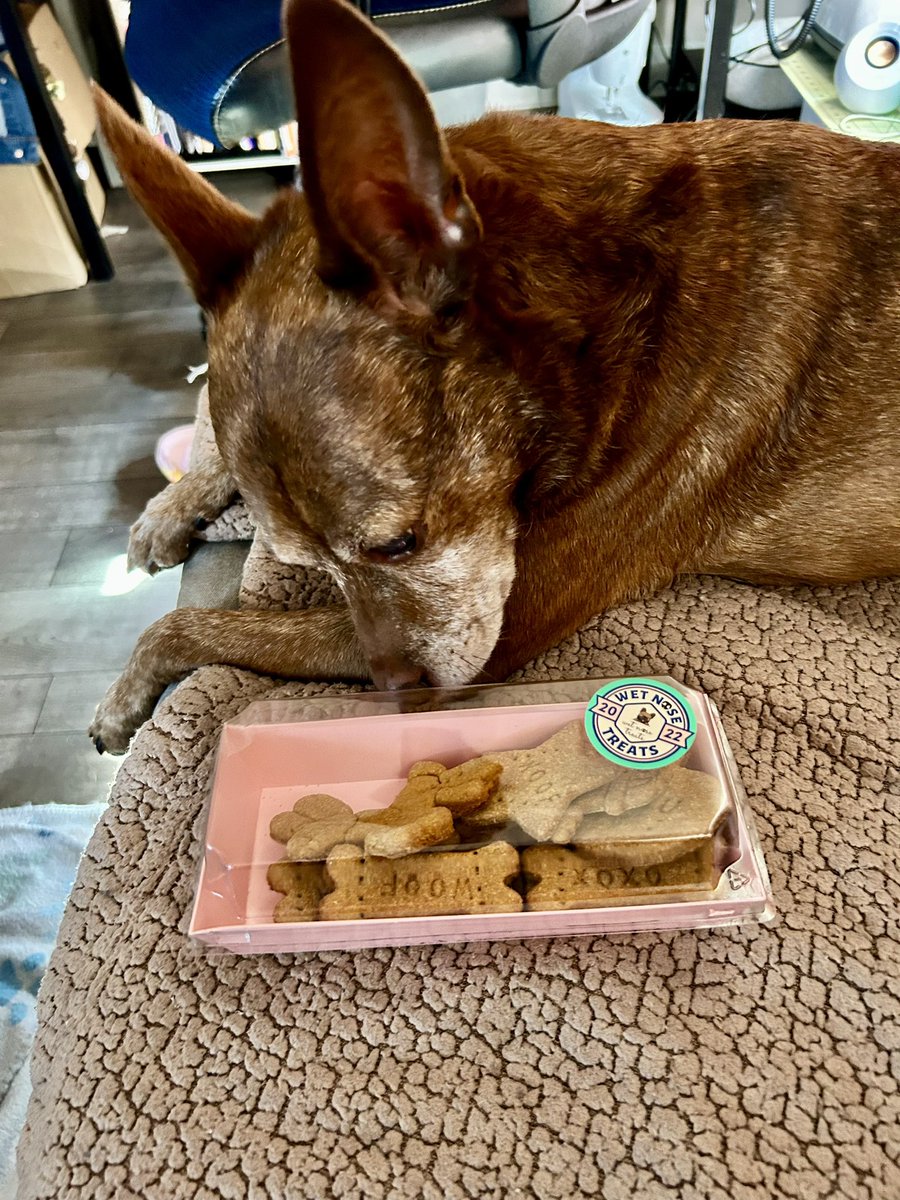 Trini 🇹🇹 tweet media