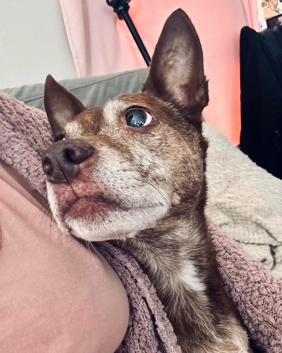 Trini 🇹🇹 tweet media