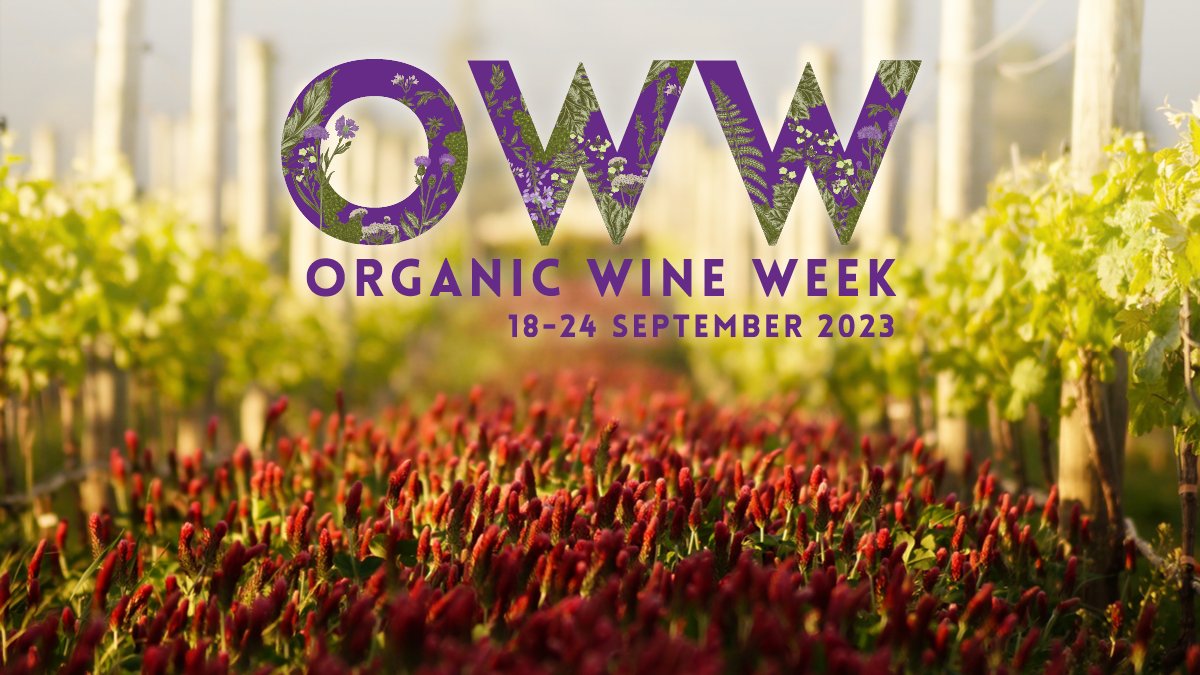 It's Organic Wine Week! Organic winegrowers are a passionate and growing community in New Zealand. Over 10% of New Zealand wineries hold organic certification. Find out more about organic winegrowing in Aotearoa here: bit.ly/45RAQcD #nzwine